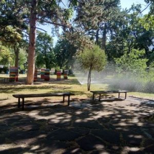 Сливен, кратки вечерни новини, 06.07.2025 г., неделя