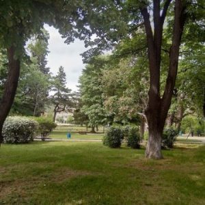 Сливен, кратки вечерни новини, 18.05.2025 г., неделя